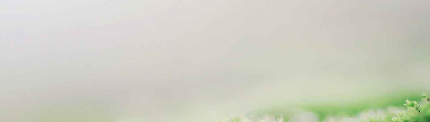 Bg-img